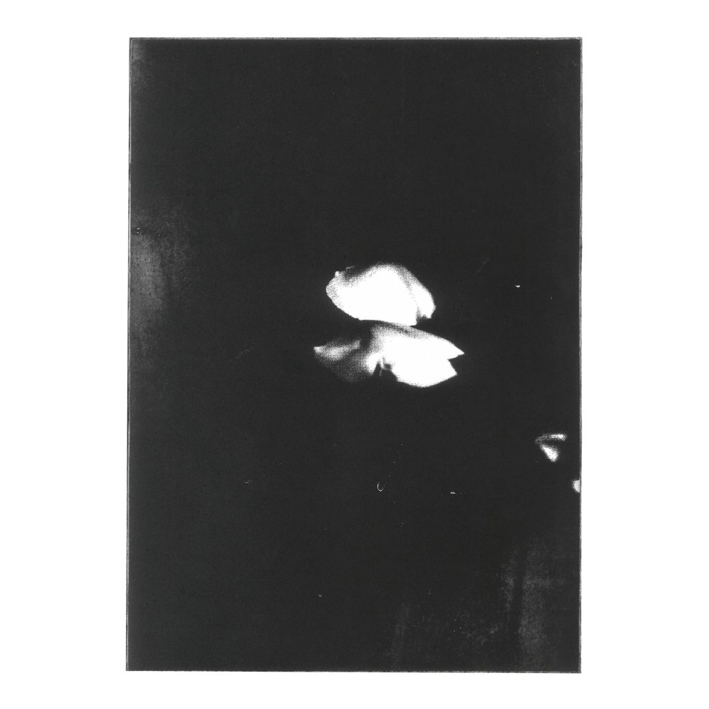 Step1: original print
